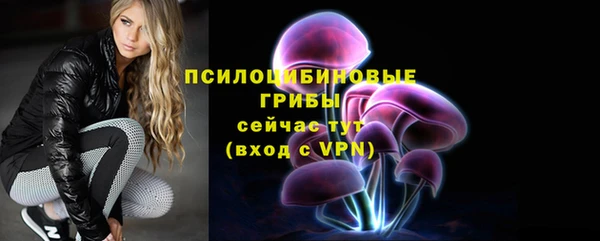 эйфоретик Абаза