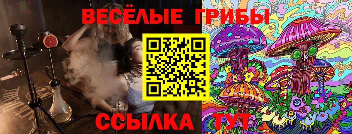 Псилоцибиновые грибы Cubensis  сколько стоит  Серпухов  Вход с VPN 